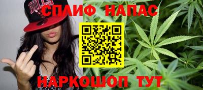 стафф Пенза