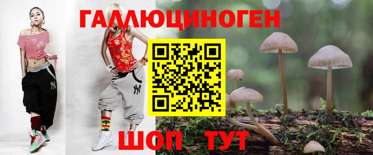Галлюциногенные грибы Cubensis Урус-Мартан