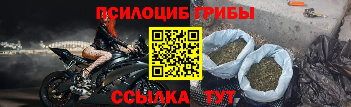 Урус-Мартан  Галлюциногенные грибы ЛСД  Вход с VPN 